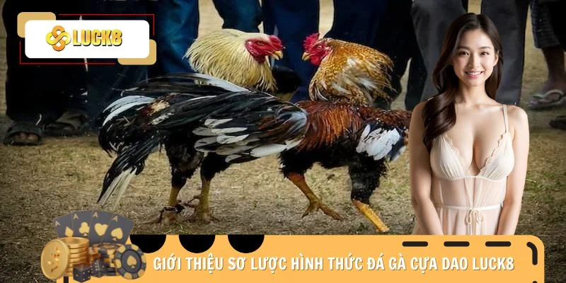 Giới thiệu sơ lược hình thức đá gà cựa dao Luck8